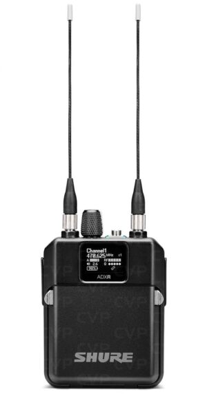 Shure Axient Digital ADXR [InEar Empfänger]